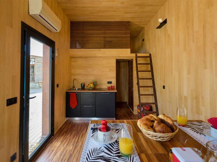 Diagnostic termites Guadeloupe