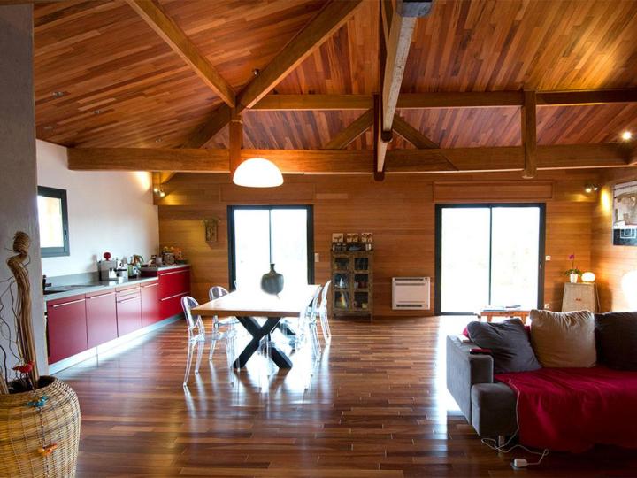 Diagnostic termites Guadeloupe